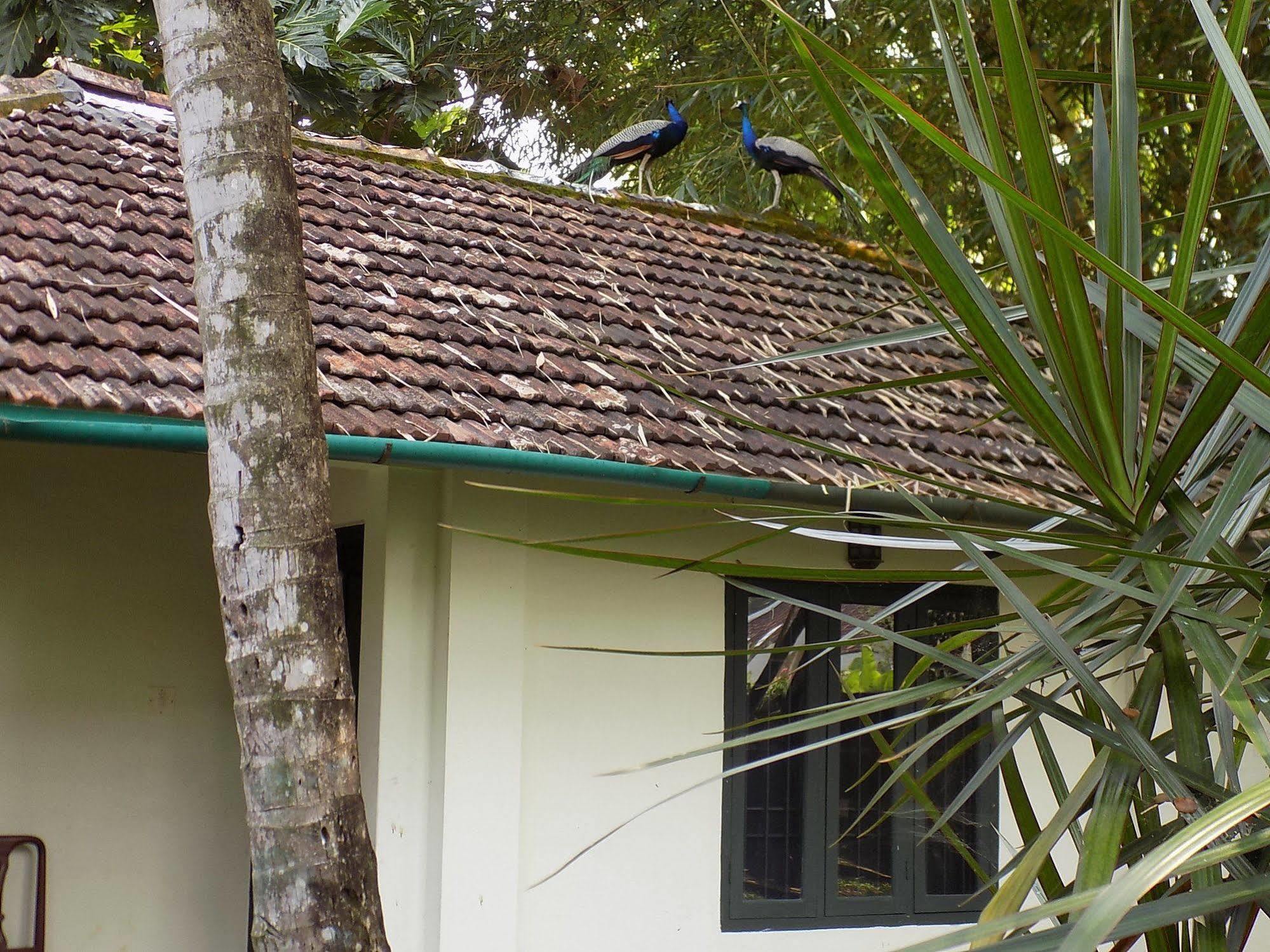 Elphinstone Residency Kochi Exterior foto